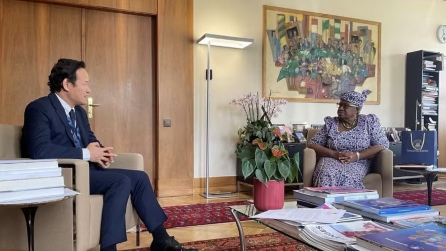 Vietnam reiterates support for WTO multilateral trading system