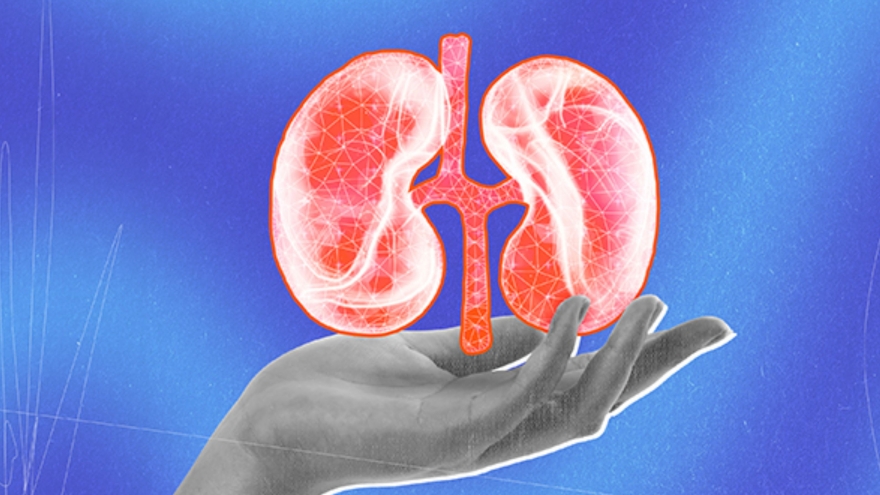 Thận yếu thì "chuyện ấy" có yếu theo?