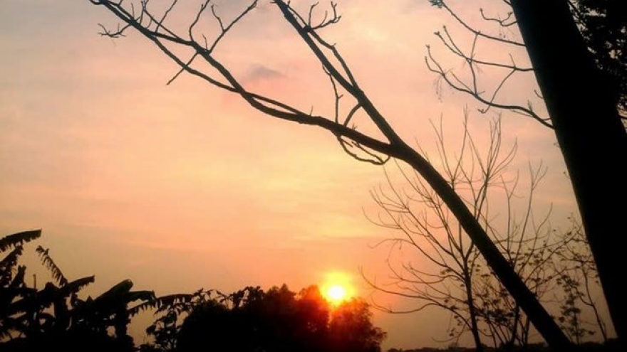 "Chiều thương nắng vữa": Nỗi niềm tình mẹ