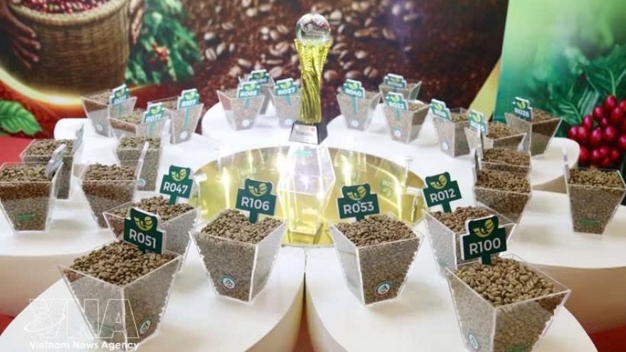 Vietnam Amazing Cup 2026 reinforces quality benchmark for specialty coffee sector
