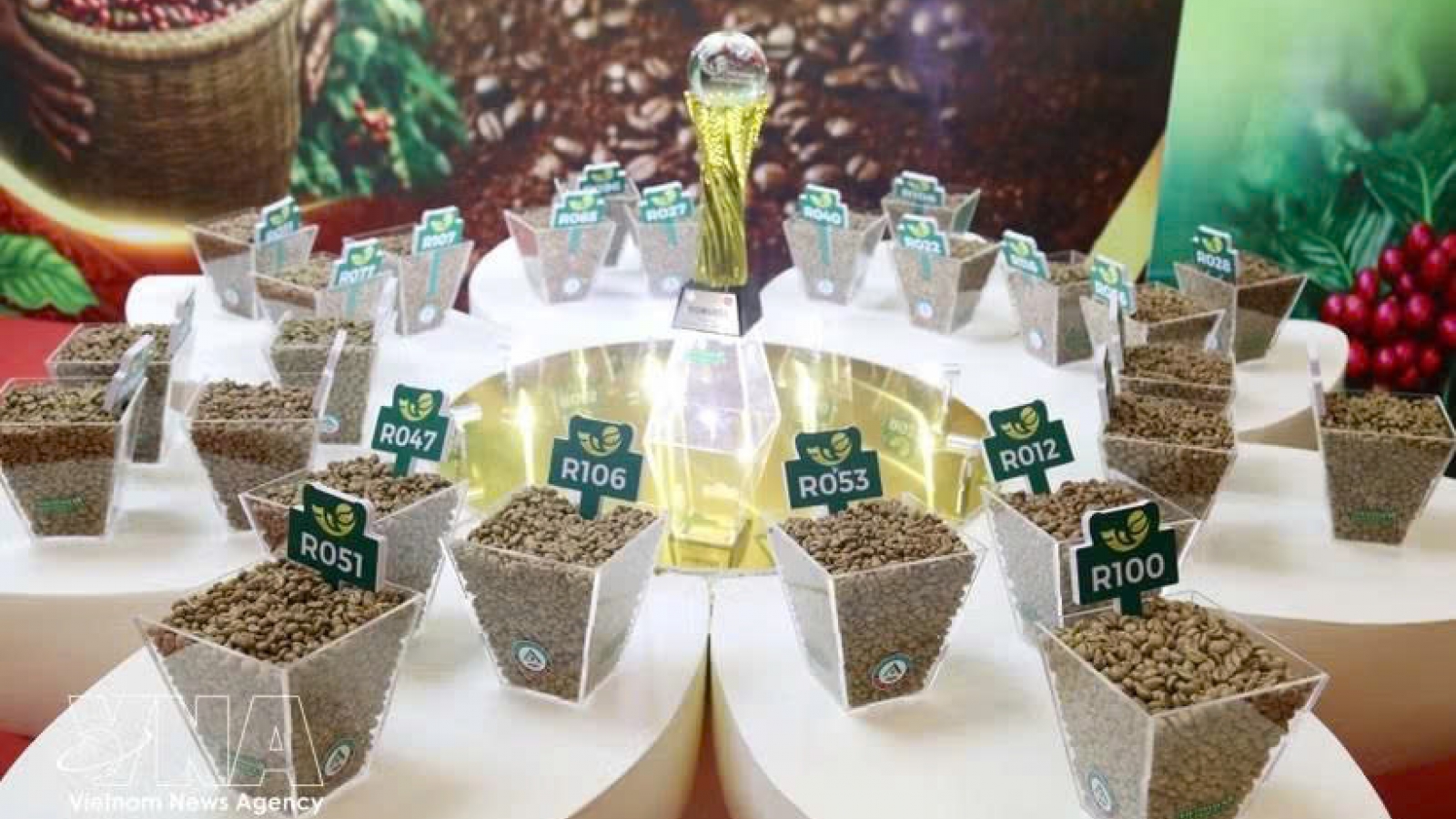 Vietnam Amazing Cup 2026 reinforces quality benchmark for specialty coffee sector