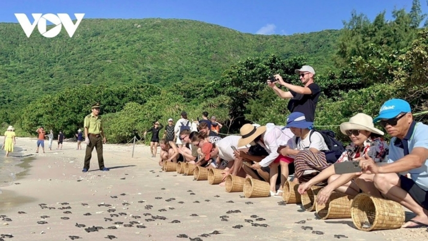 Con Dao among Asia’s best spring travel destinations for 2026