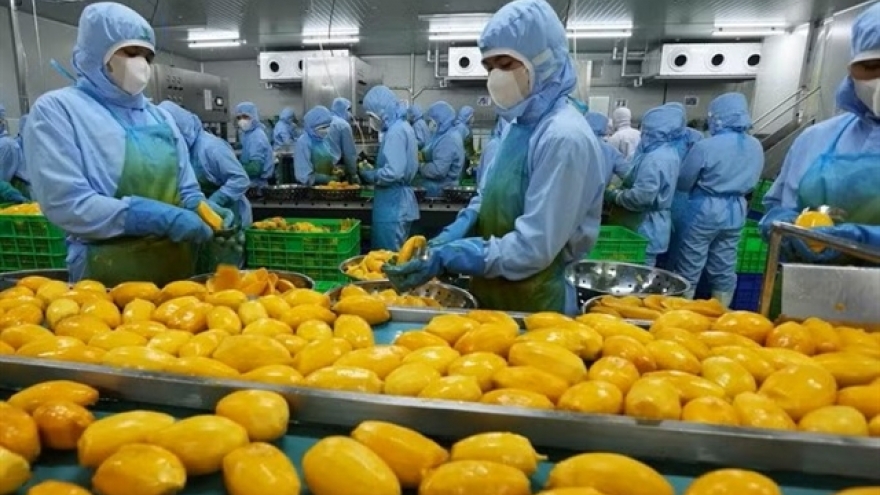 Vietnam turns challenges into opportunities: World Bank