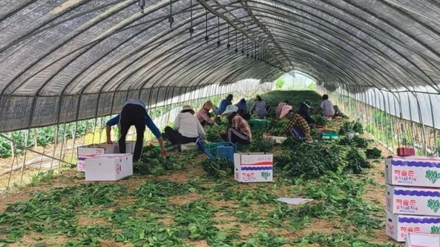 RoK’s Jinan county receives additional seasonal workers from Vietnam