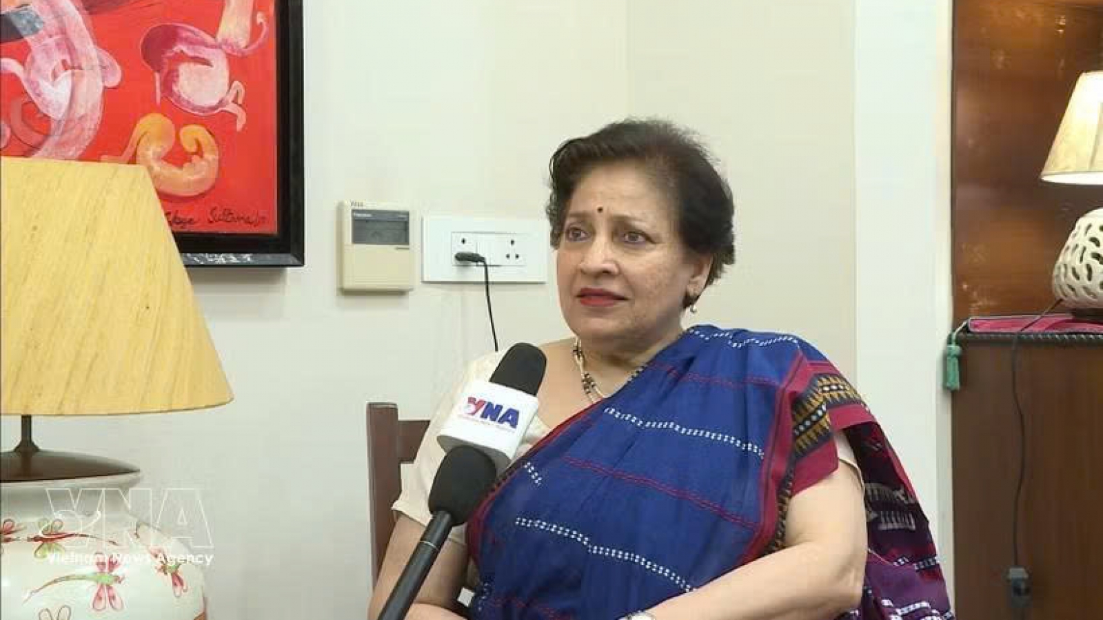 Vietnam-India relations hold firm foundation, bright prospects: former ambassador