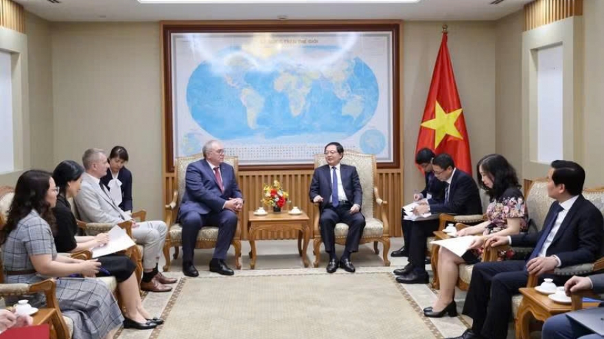 Deputy PM, IAEA official discuss nuclear power development