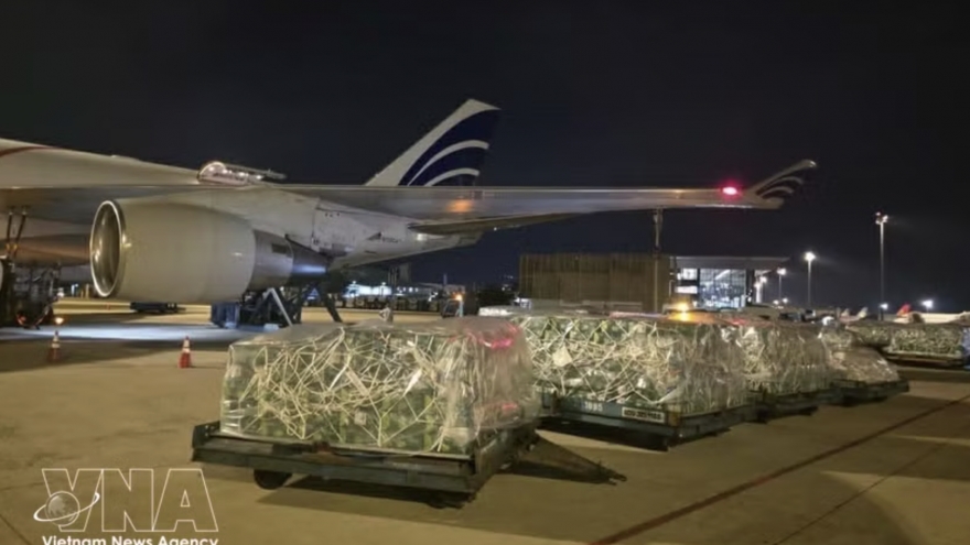 Nearly 100 tonnes of Vietnamese fruits, vegetables airlifted to UAE