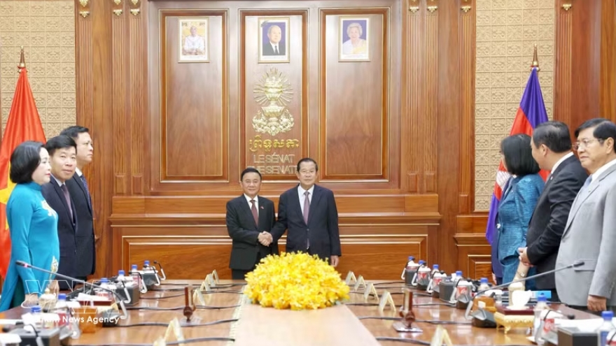 Senior Vietnamese Party official meets with Cambodian Party, Senate leader