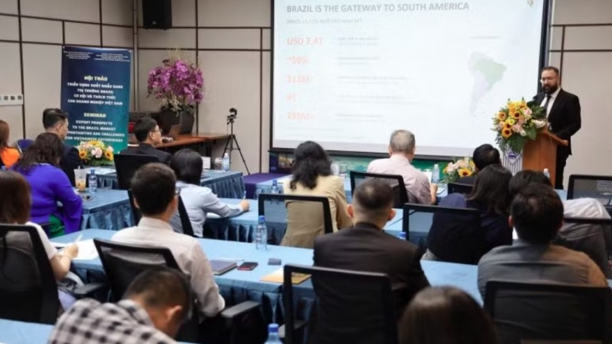 Seminar highlights Brazil export prospects for Vietnamese businesses