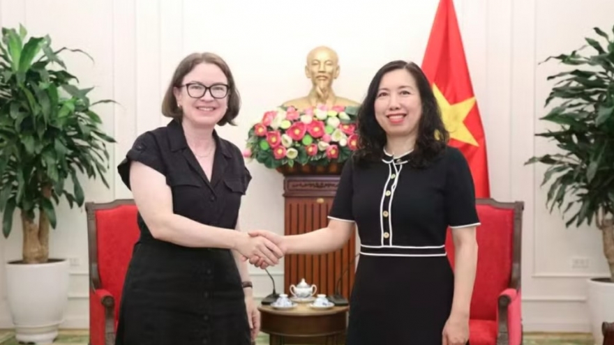 Vietnam, Ireland seek ways to step up bilateral cooperation