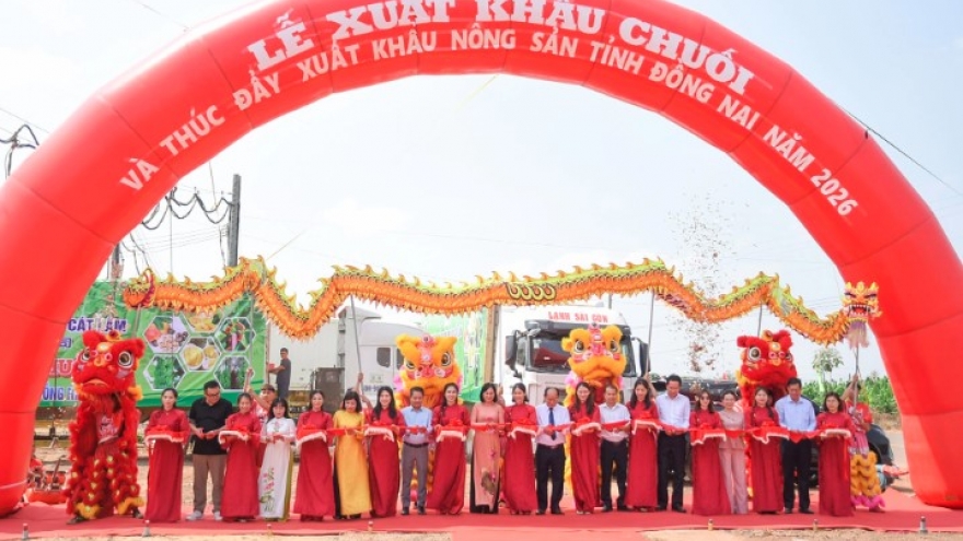 Dong Nai exports 220 tonnes of bananas, boosts market expansion