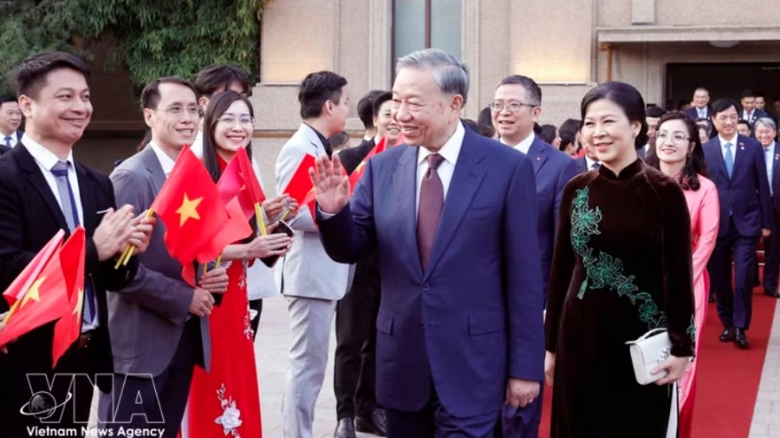 Top leader meets Vietnamese diplomatic staff, community in China