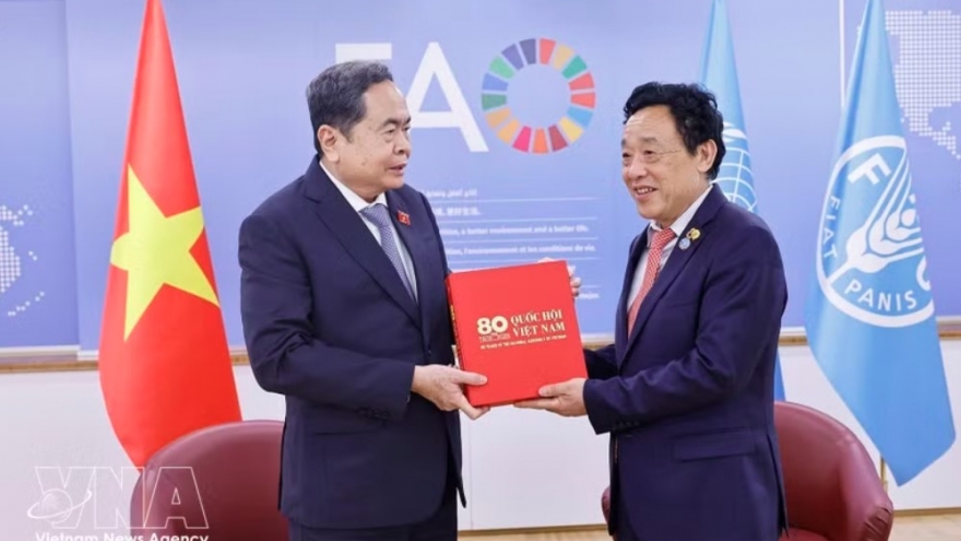 Vietnam views FAO as leading partner in agricultural, rural development