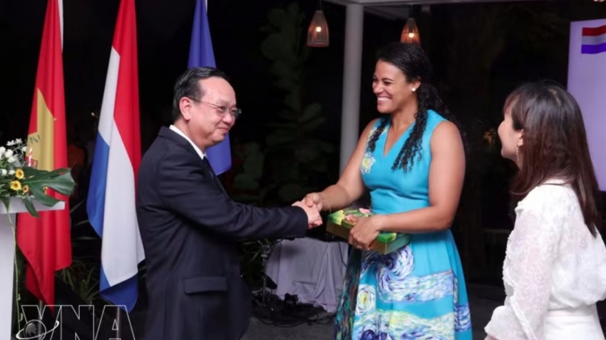 Ho Chi Minh City pledges deeper practical cooperation with Dutch partners