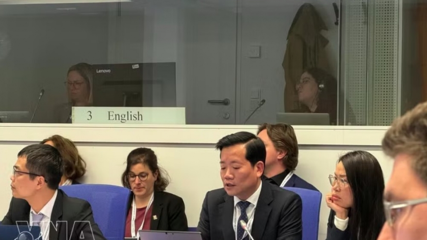 Vietnam reaffirms commitment to peaceful nuclear energy development