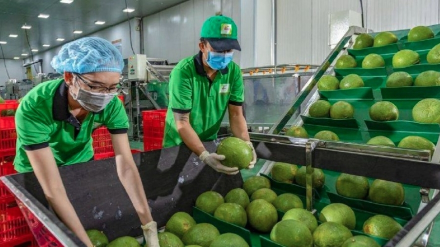 Vietnam signs protocol to export pomelo, lemon to China