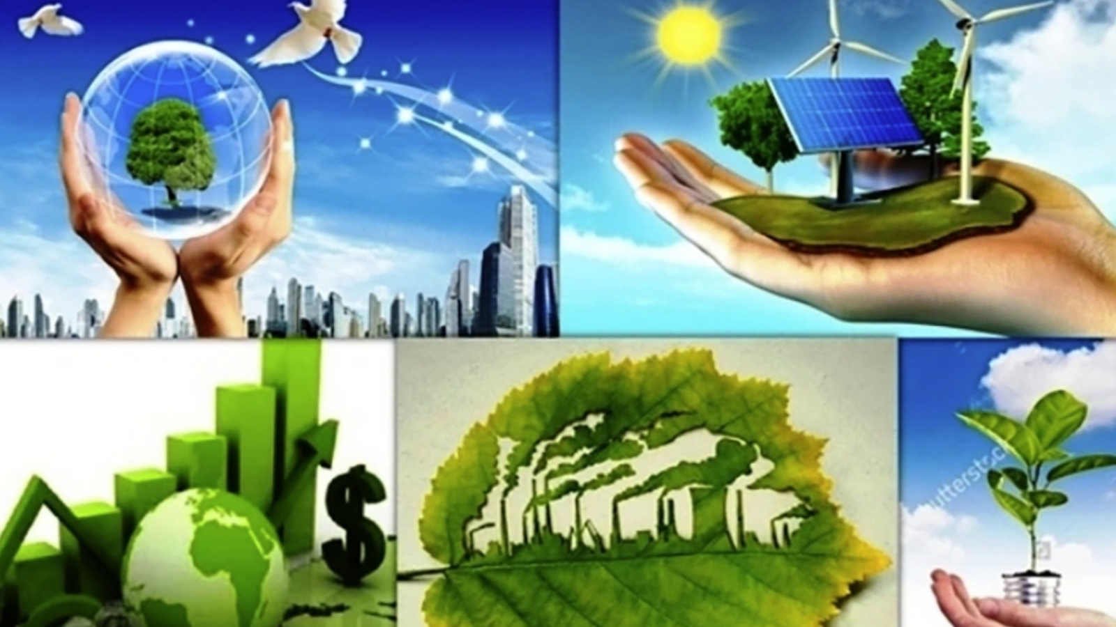 Energy security key to self-reliance in green transition