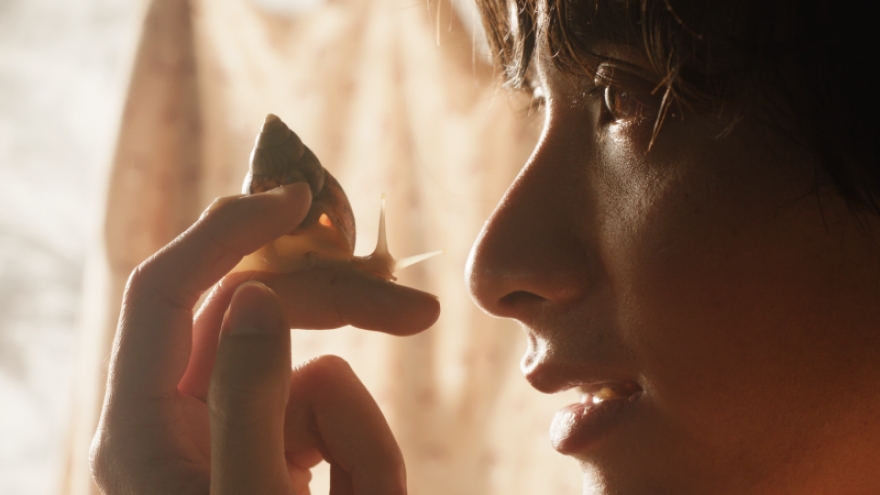 The Dream Is A Snail to compete in Short Film Palme d’Or at Cannes Festival