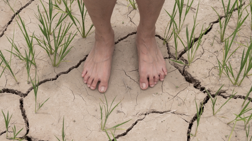 Chuyên gia Trung Quốc: Còn quá sớm để nói “siêu El Nino” sẽ xảy ra trong năm nay