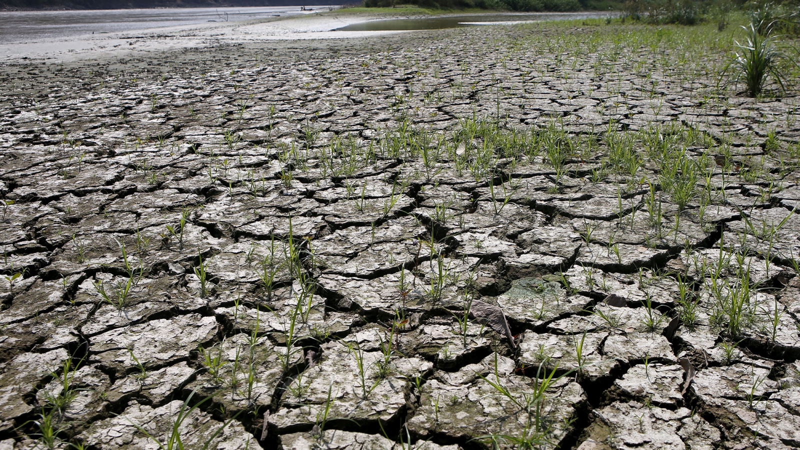 Thái Lan kích hoạt kế hoạch ứng phó toàn quốc với nguy cơ siêu El Nino