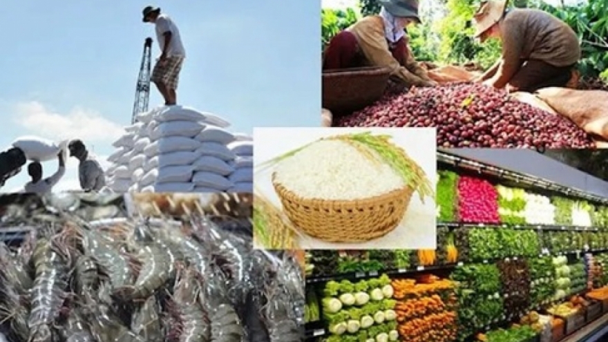 Hai lần tạm ngưng Nghị định 46: Bài toán quản lý ATTP và năng lực kiến tạo thể chế