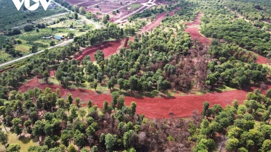 Dự án sân golf Đăk Đoa (Gia Lai) được tái khởi công sau nhiều năm đình trệ