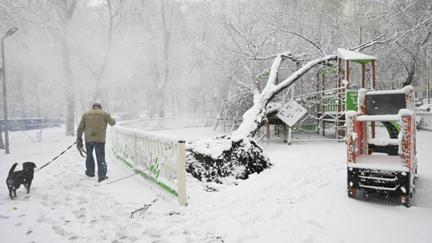 Bão tuyết trái mùa phủ trắng Moscow, giao thông tê liệt, nhiều phương tiện hư hại