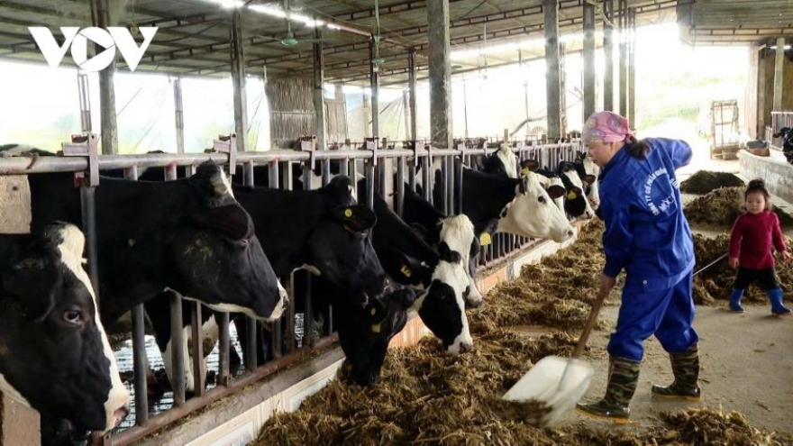 Nguồn nước ô nhiễm ở phường Thảo Nguyên, Sơn La vẫn chưa được giải quyết triệt để