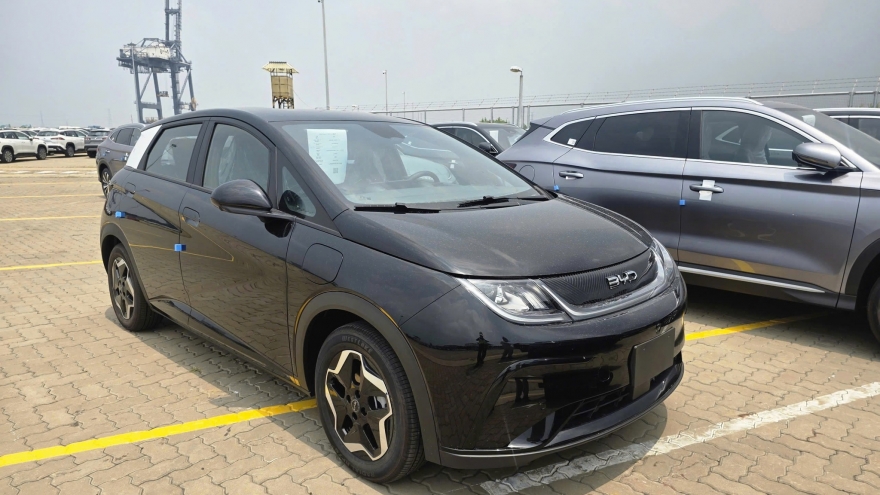 BYD Dolphin 2026 chuyển sang nhập Thái Lan để cạnh tranh với Geely EX2?