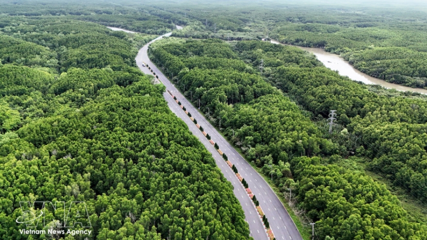 National forest coverage holds steady at 42.03% in 2025