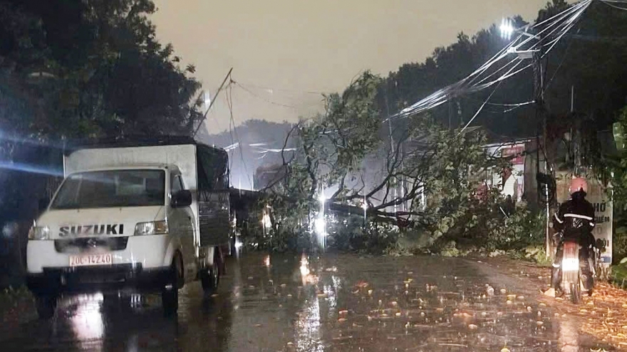 Mưa giông gây thiệt hại ở Thái Nguyên, cây đổ đè chết người