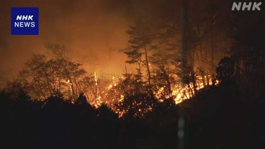 Cháy rừng lại hoành hành và gây thiệt hại nghiêm trọng ở Nhật Bản