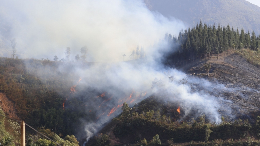 Điện Biên báo động đỏ nguy cơ cháy rừng với hơn 2.500 điểm nghi cháy trong quý I