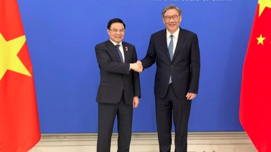 Vietnam, China aim for more balanced trade growth