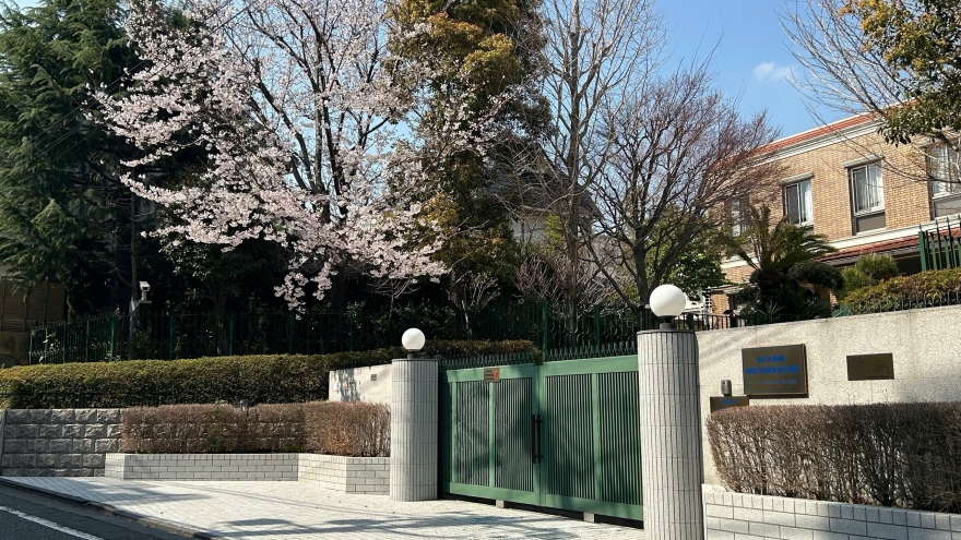 Động đất tại Nhật Bản: Đại sứ quán Việt Nam sẵn sàng triển khai bảo hộ công dân