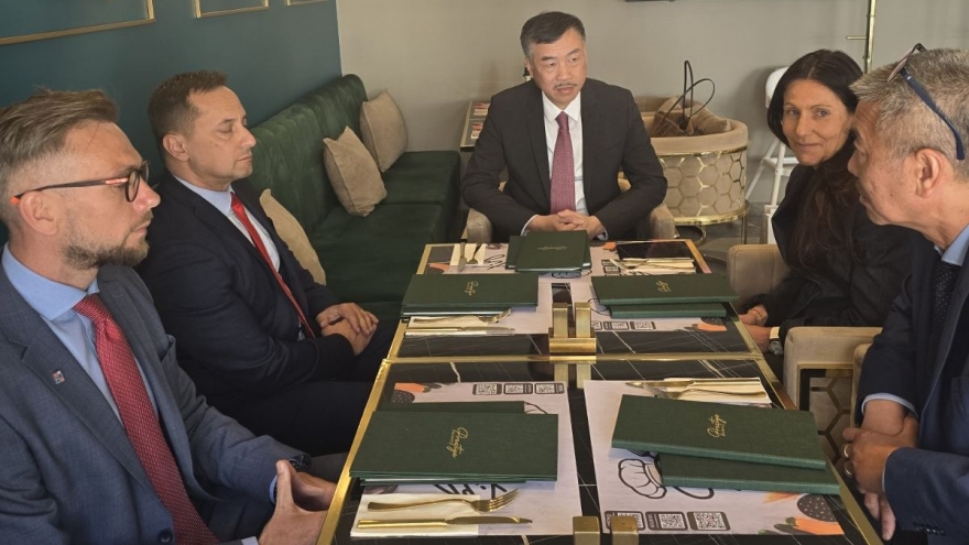 Thúc đẩy hợp tác địa phương và giao lưu văn hóa Việt Nam - Séc