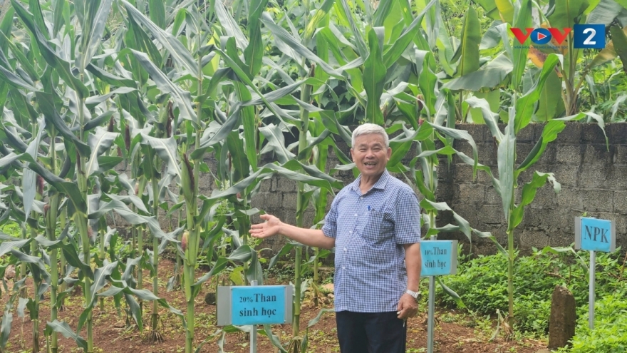 Già hóa dân số mở ra cơ hội lớn cho “kinh tế bạc” tại Việt Nam