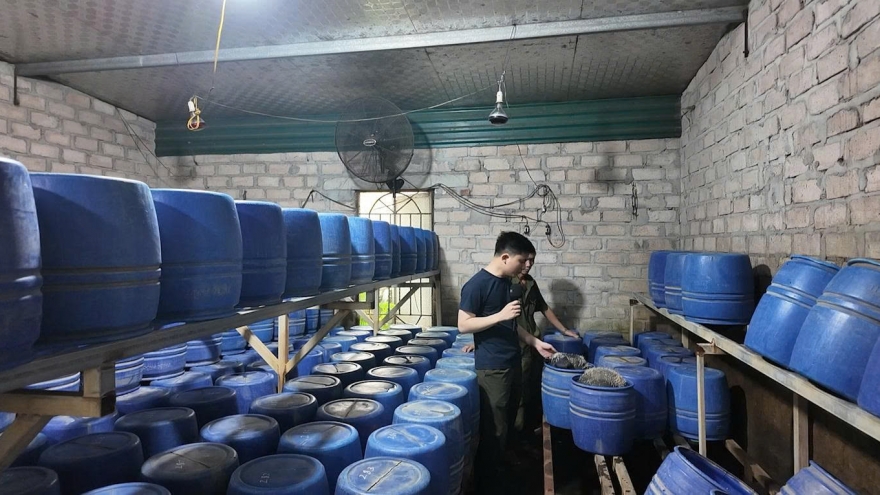 Phát hiện xưởng sản xuất giá đỗ sử dụng chất cấm tại Quảng Ninh