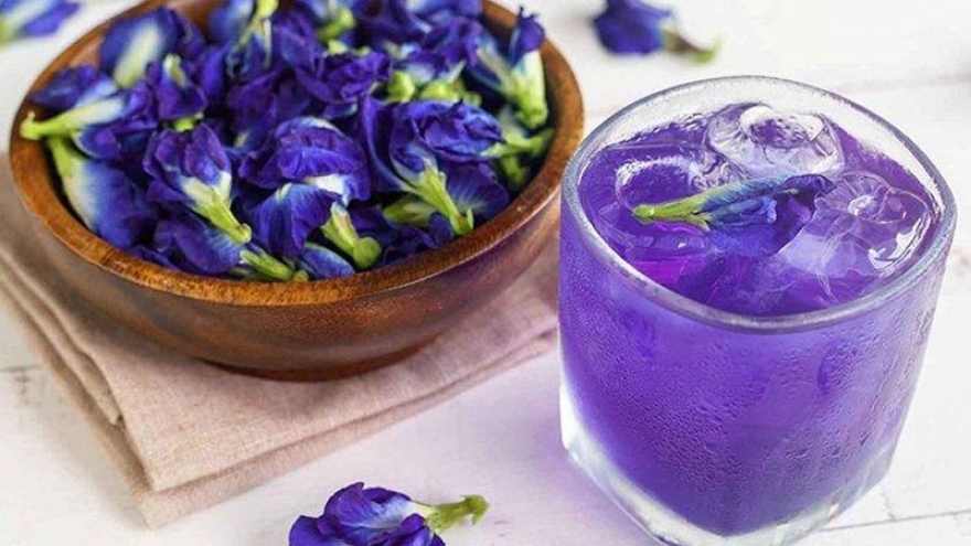 Điều gì xảy ra khi bạn uống trà hoa đậu biếc mỗi ngày?