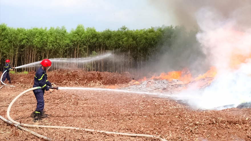 Lãnh đạo Đồng Nai chỉ đạo khẩn sau vụ 2 cháy rừng liên tiếp