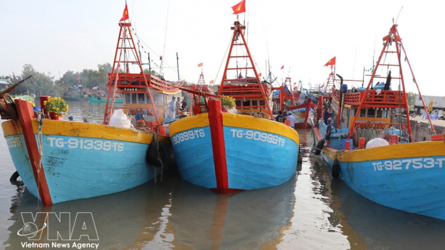 Dong Thap intensifies action to tackle IUU fishing