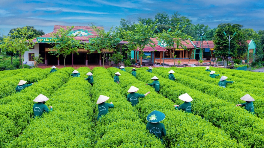 Du lịch Thái Nguyên khởi sắc từ đầu năm