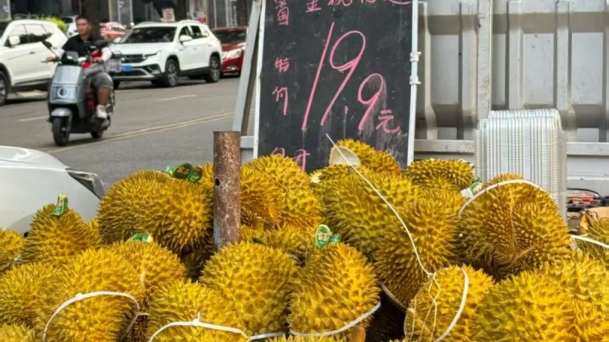 Sầu riêng nhập khẩu số lượng lớn khiến giá giảm nhanh ở Trung Quốc
