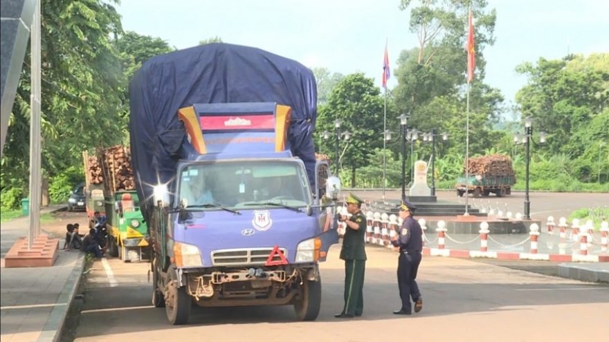 Hải quan tăng cường kiểm soát rủi ro trên các mặt hàng trọng điểm dịp lễ