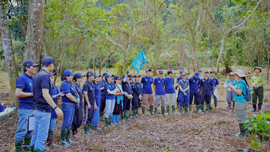 Mitsibishi Motors Việt Nam đồng hành cùng Gaia trồng 2.000 cây tại Cúc Phương