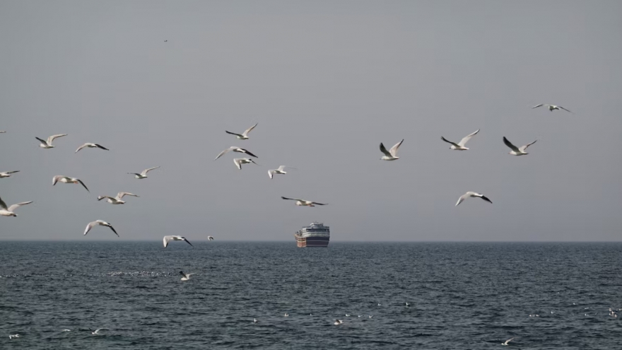 20 tàu thương mại đi qua eo Hormuz trong 1 ngày