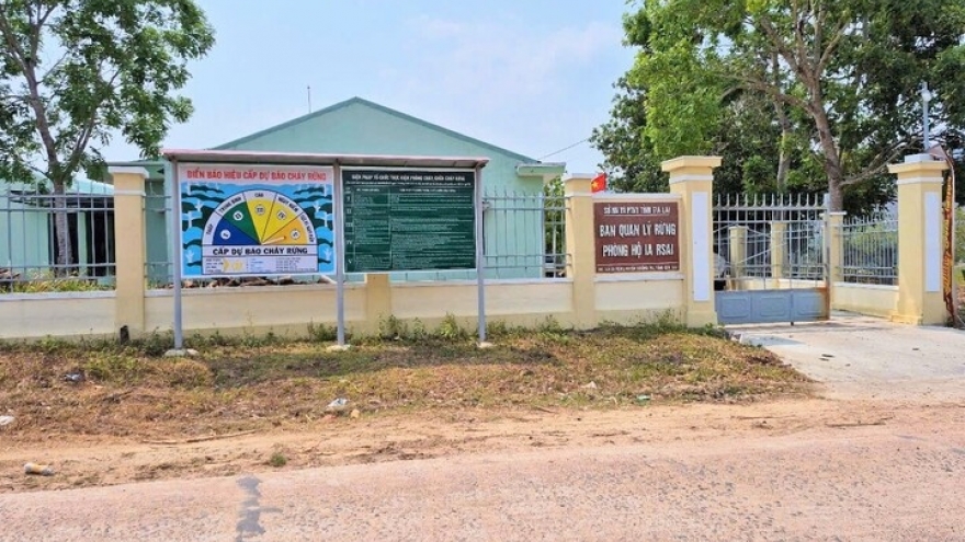 Bắt tạm giam một trưởng ban quản lý rừng phòng hộ ở Gia Lai