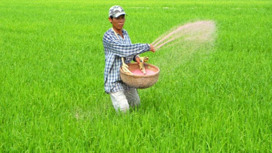 Nỗi lo của nông dân từ những bao phân bón mới