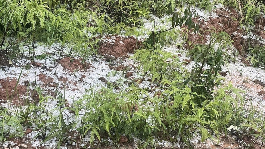 Mưa đá kèm dông lốc gây thiệt hại tại tỉnh Điện Biên