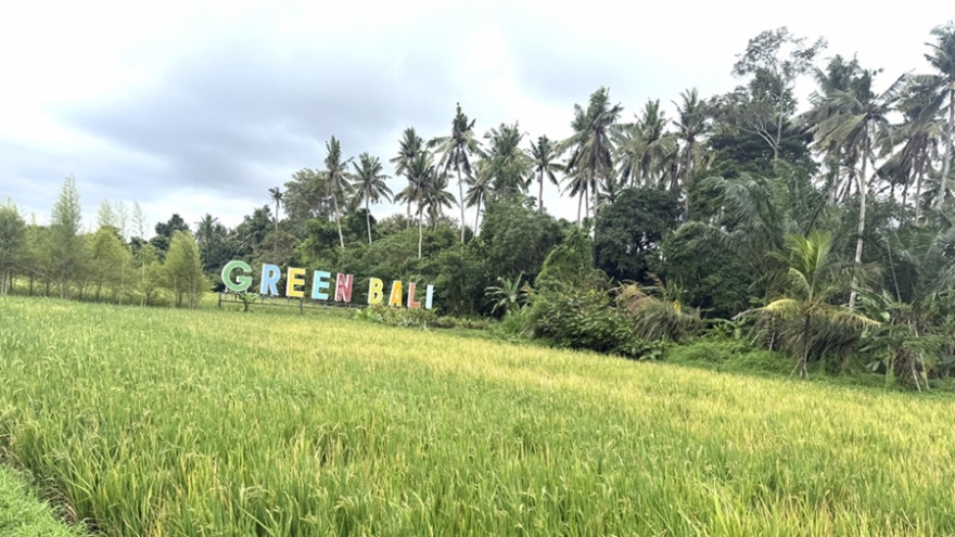 Đông Nam Á đối mặt El Nino, nguy cơ khủng hoảng lương thực gia tăng